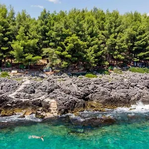 https://life-on-green.albaniahotels.org